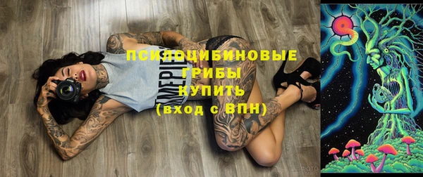 мяу мяу мука Баксан